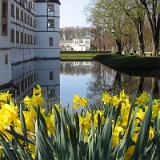 1201S 35 Schloss Neuhaus Apr 05